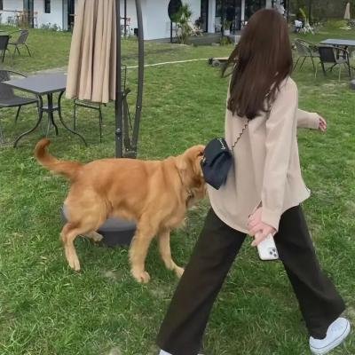 黑衣天使